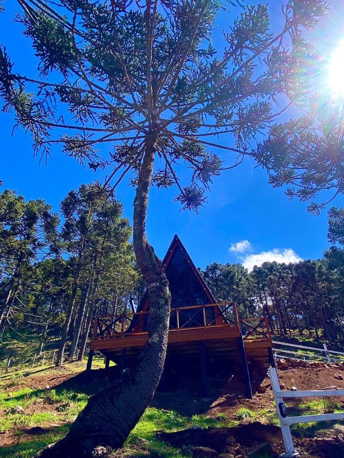 Urubici - Cabana Da Montanha Mundo Novo  エクステリア 写真